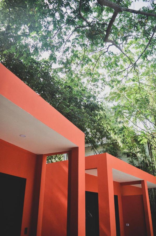 Lost Boyz Hostel Playa Santa Teresa (Puntarenas)