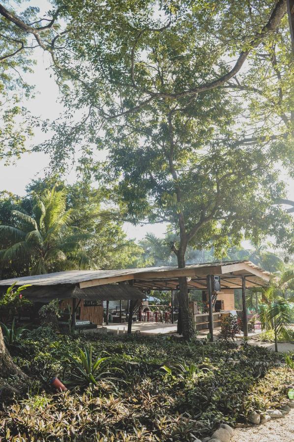 Lost Boyz Playa Santa Teresa (Puntarenas)